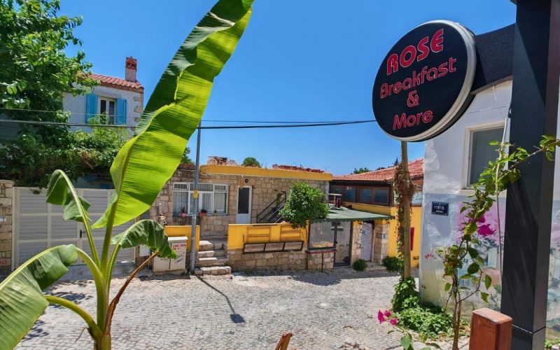 rose-alacati1 rose-alacati1